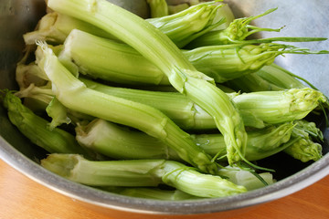 puntarelle shoots, puntarelle salad, cooking process