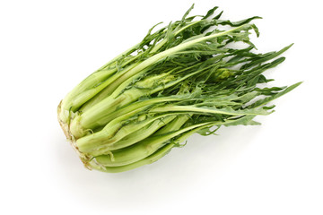 puntarelle, asparagus chicory, italian vegetable