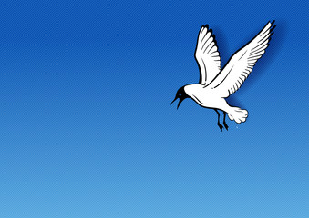 seagull