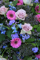 purple rose and pink gerbera