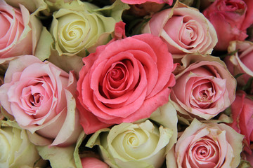 Pink roses bridal flower arrangement