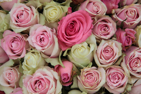 Pink roses bridal flower arrangement