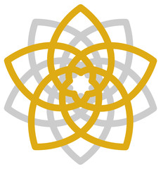 Venusblume © Anne Mathiasz