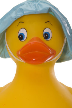 Rubber Duck Headshot