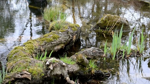 Wasser, Natur und beginnender Regen