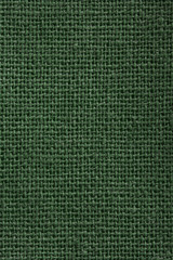 Green textile texture - 40423265