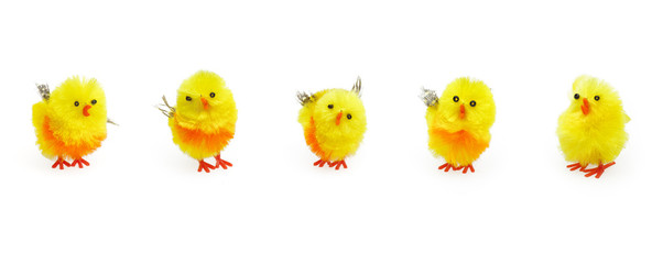 Obraz premium Five cute easter yellow chicks for seasonal decoration.