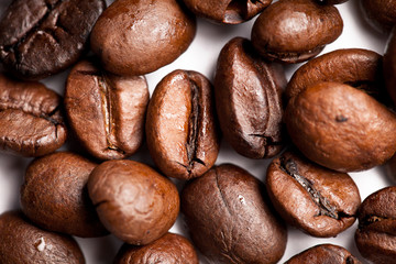 Coffee Beans Macro Studio