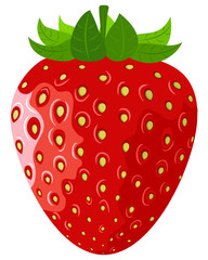 Ripe berry a vector strawberry on a white background