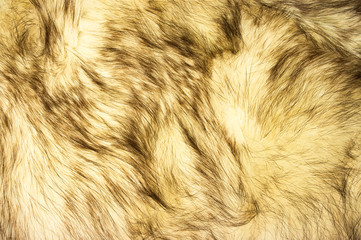 Fox fur texture