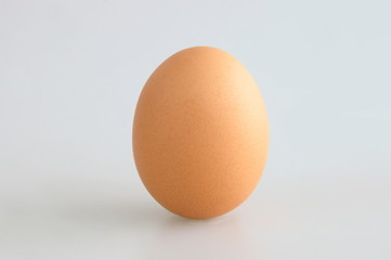 Single Egg