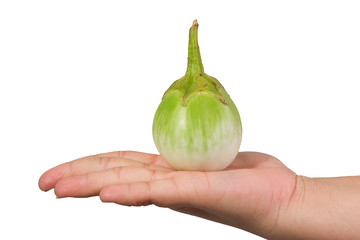 eggplant on hand with White backgrond