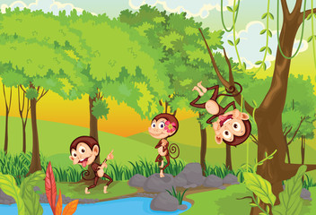 Cheeky monkeys