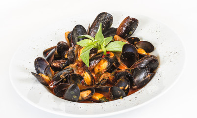 close up on mussels on white background
