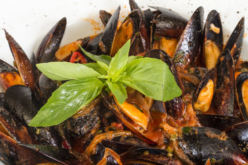 close up on mussels on white background