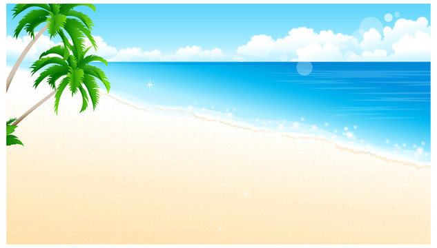 Idyllic Beach with Palm Tree