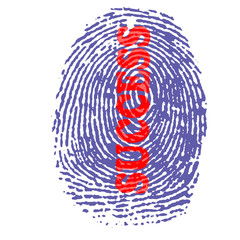 Fototapeta na wymiar success fingerprint