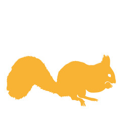 eichhörnchen orange