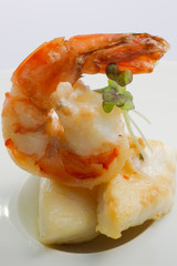 Gamba neutral