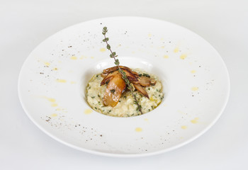 photo of delicious risotto dish with herbs and mushrooms on whit