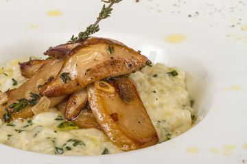 photo of delicious risotto dish with herbs and mushrooms on whit