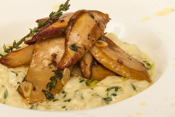 photo of delicious risotto dish with herbs and mushrooms on whit