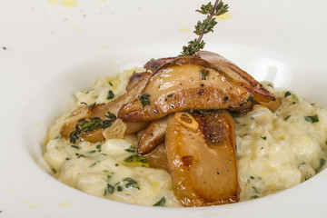 photo of delicious risotto dish with herbs and mushrooms on whit