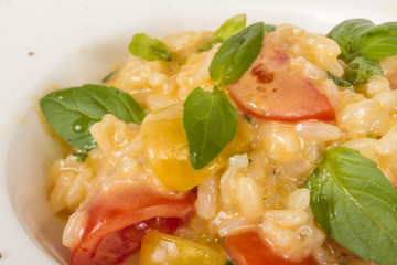 photo of delicious risotto dish with herbs and tomato on white b