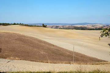 Obraz premium The landscape of the Tuscany. Italy