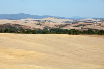 Fototapeta na wymiar Krajobraz Toskanii. Włochy