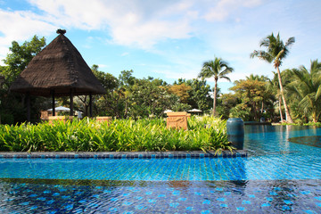 swimming pool with coconut tree and white umbrella