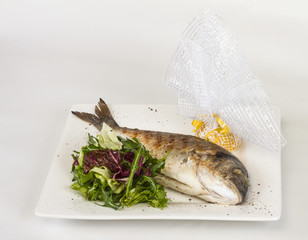 Dorada fish with salad on the white plate. Studio shot