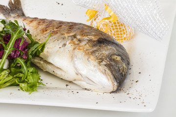 Dorada fish with salad on the white plate. Studio shot