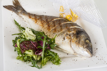 Dorada fish with salad on the white plate. Studio shot