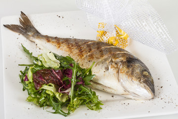 Dorada fish with salad on the white plate. Studio shot