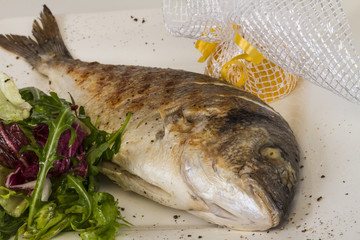 Dorada fish with salad on the white plate. Studio shot
