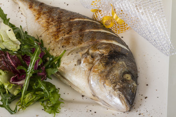 Dorada fish with salad on the white plate. Studio shot