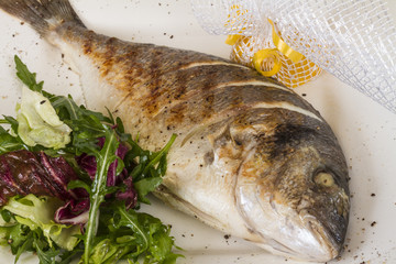 Dorada fish with salad on the white plate. Studio shot