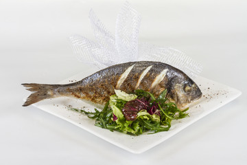Dorada fish with salad on the white plate. Studio shot