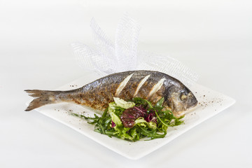 Dorada fish with salad on the white plate. Studio shot