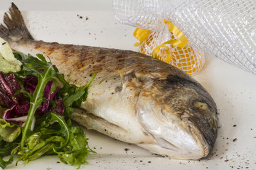 Dorada fish with salad on the white plate. Studio shot