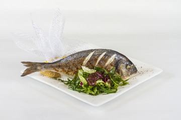 Dorada fish with salad on the white plate. Studio shot