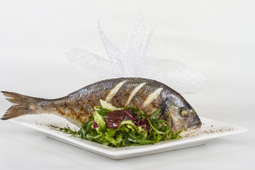 Dorada fish with salad on the white plate. Studio shot