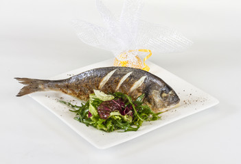 Dorada fish with salad on the white plate. Studio shot