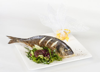 Dorada fish with salad on the white plate. Studio shot