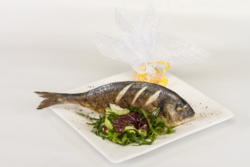 Dorada fish with salad on the white plate. Studio shot