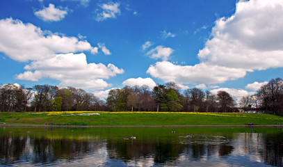 Scenic park lake in spring 2