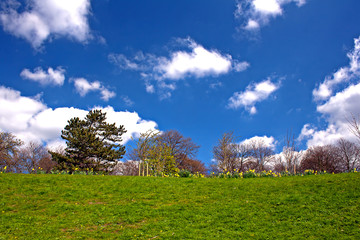 Green grass and blue sky in early spring