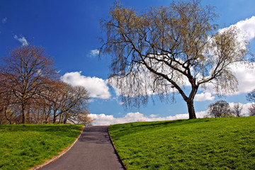 Green grass and pathway against blue sky in early spring