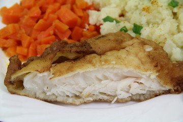 fish